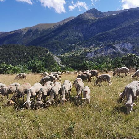 La Peyregoune, Logement En Pleine Nature Et Table D'Hotes Blieux Екстериор снимка