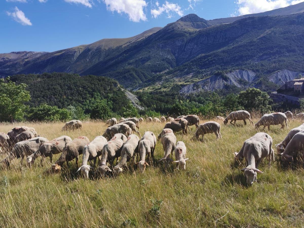 La Peyregoune, Logement En Pleine Nature Et Table D'Hotes Blieux Екстериор снимка